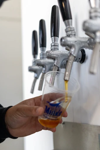 Chopp sendo servido nas torneiras Minke